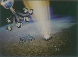 SJ-967 二氯异氰尿酸钠