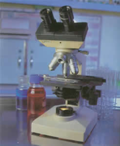 SJ-990 异噻唑啉酮衍生物（相当于KATHON-WT） 