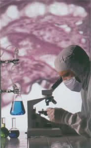 SJ-210 2-膦酸丁烷-1，2，4 三羧酸（PBTC）  