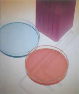 SJ-501 反渗透（RO）阻垢/疏散剂