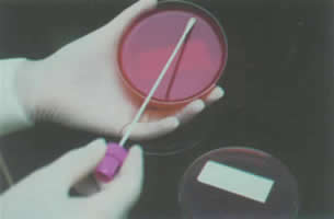 SJ-9902 闭路系统缓蚀阻垢剂