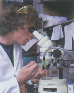 SJ-566 锌基缓蚀阻垢剂（相当于N-7356）