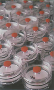 SJ-D-06 电厂用缓蚀阻垢剂