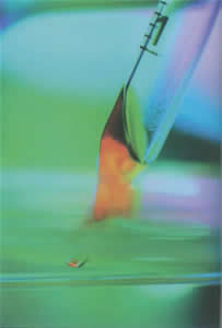 威廉希尔·(WilliamHill)中国官方网站