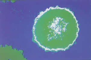 威廉希尔·(WilliamHill)中国官方网站